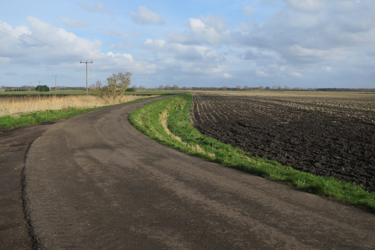 Pole po zbiorze kukurydzy z rzędami ściernisk obok wiejskiej drogi