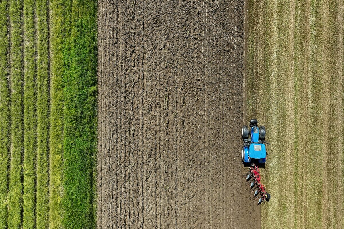 Kalendarz prac jesiennych w gospodarstwie
